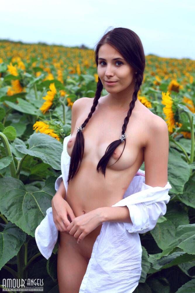 Sweet young Vanessa in pigtails spreading skinny ass naked in the sunflowers - #13