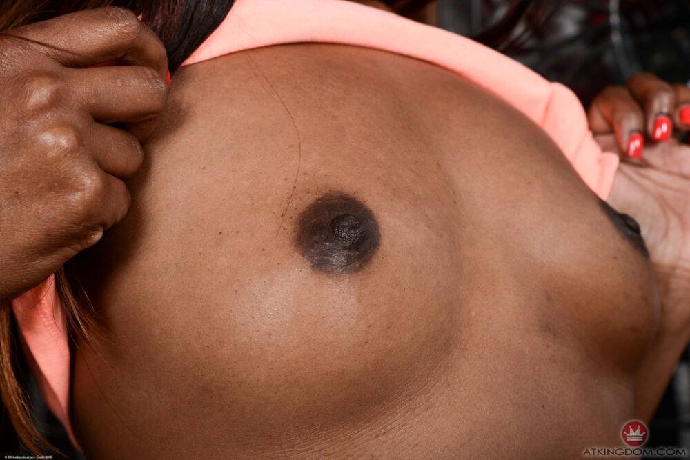 Amateur ebony babe Chanell Heart boasts of her breathtaking holes in a closeup - #10