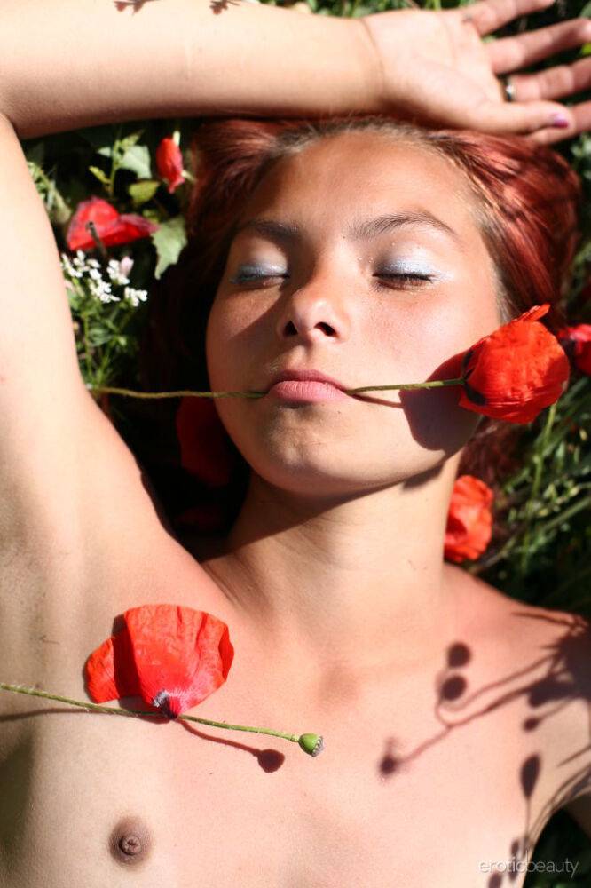 Flat chested tiny teen Nastia A frolics naked in a poppy field - #16