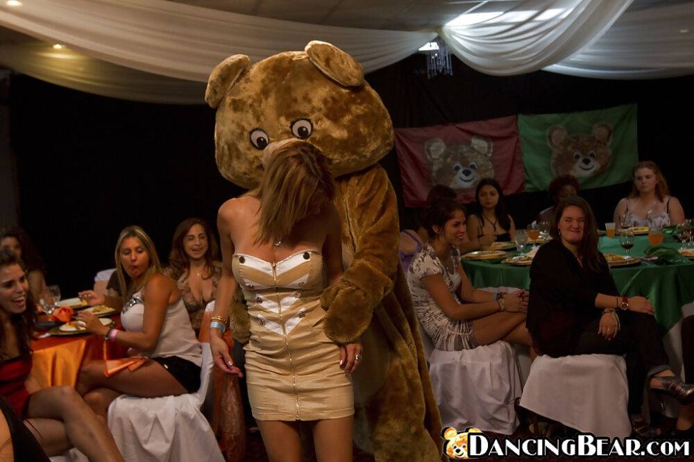 Dancing Bear is pleased nicely by lustful ladies on a crazy party - #4