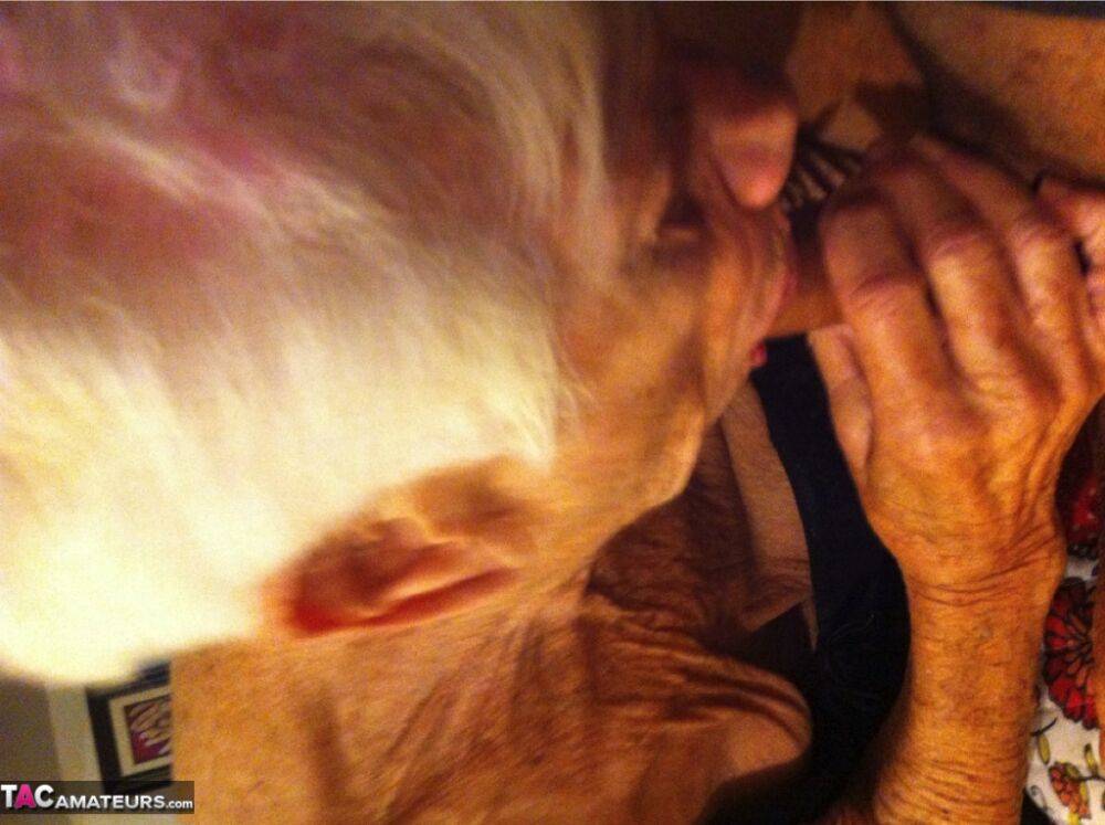 Really old granny shows off her cock sucking skills from a POV perspective - #11