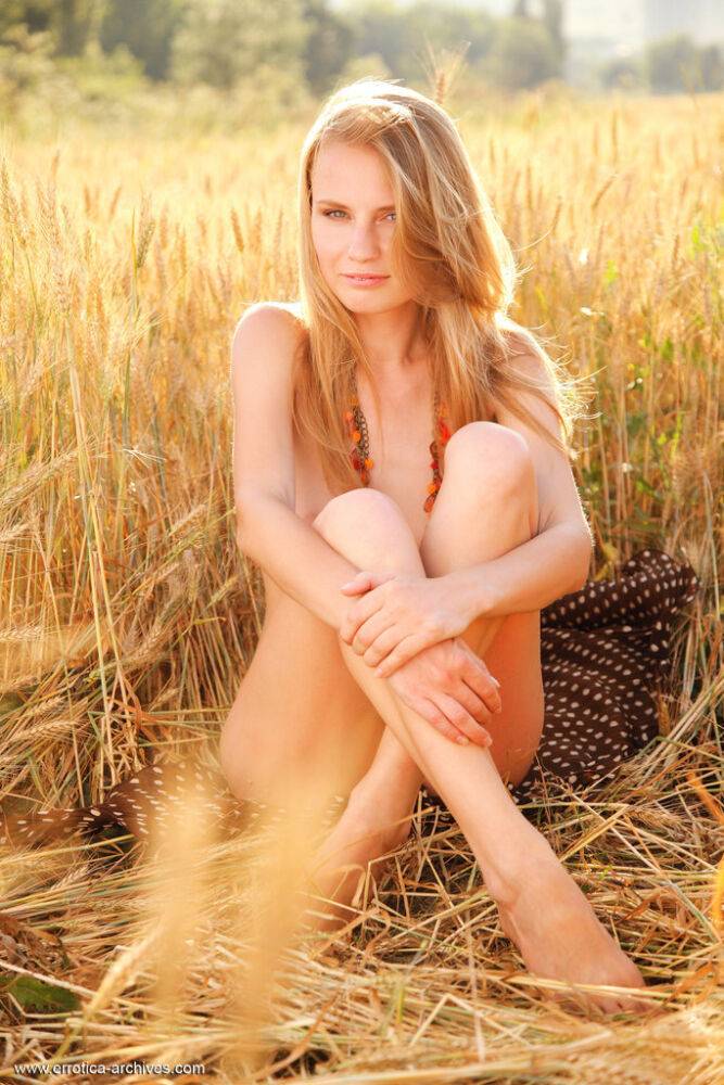Young blonde beauty Frida C models naked while in a field of wheat - #3