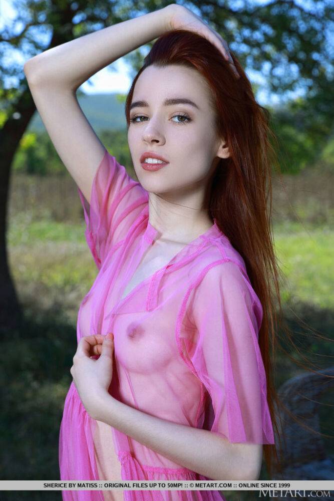 Thin redheaded teen Sherice strikes great nude poses under a shade tree - #15