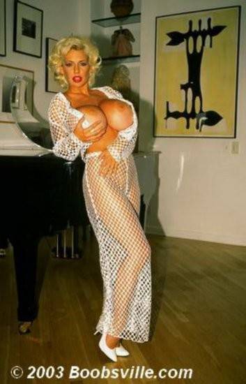 SaRenna Lee in a see-trough fish net dress at home - #6
