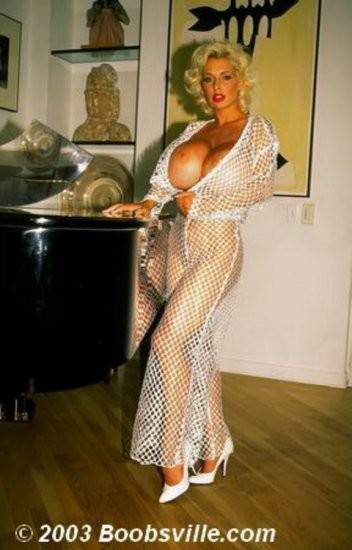 SaRenna Lee in a see-trough fish net dress at home - #3
