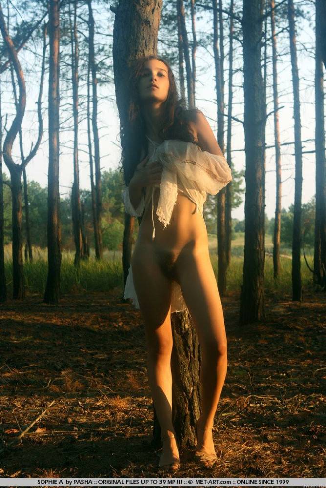 Skinny Bushy Brunette Teen Sophie A Strips Out Of Her White C-thru Dress Outdoors - #15