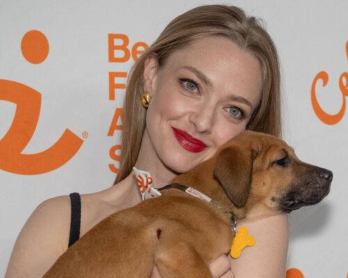 amandaseyfried mingey - #10