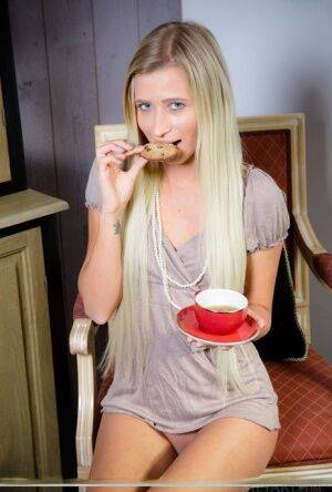 Solo girl with long blonde hair Lisa Dawn gets naked after tea and a cookie on nudepicso.com