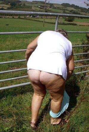 Old British woman Grandma Libby exposes herself next to a field of cattle - Britain on nudepicso.com