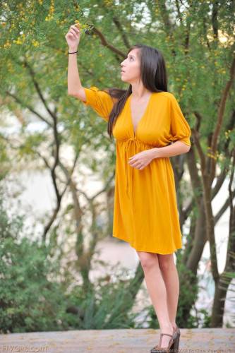 Outdoor Girl April FTV Shows Her Jumbo Tits And Trimmed Twat Without Taking Off Her Yellow Dress on nudepicso.com